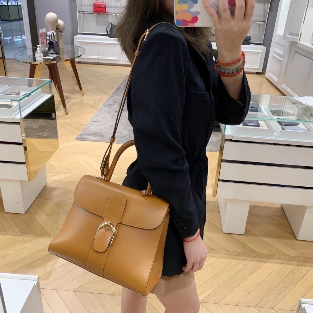 델보 브리앙 박스백 미니